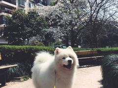 -瑞派宠物医院·24小时骨科·心脏·核磁(哈尔滨南岗店)