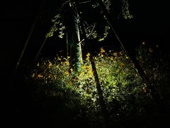 -叁山与肆客服号民宿(龙泉阳光城百工堰公园店)