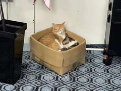 -蓝天射箭馆·专业射箭运动(诚丰广场店)