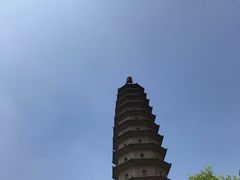 -迎泽公园