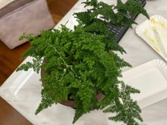 -绿洲雅宾利花园