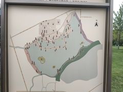 -诗经里