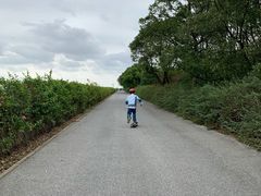 -上海滨江森林公园