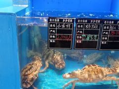 -老六海鲜城