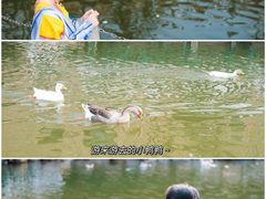 -J Create城市露营咖啡·简餐·宠物(上海动物园店)