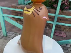 -海合安成都极地海洋公园