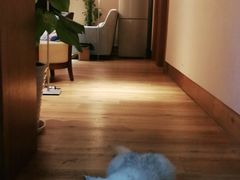 -德瑞姆心理咨询旗舰店