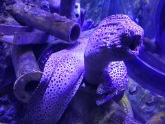 -成都浩海立方海洋公园