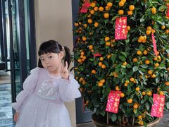 -海南清水湾莱佛士酒店