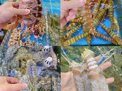 -四川小胡子海鲜(丁村万人海鲜广场店)