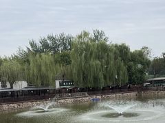-尚庄度假村·庭台树下·户外烧烤·团建CS·轰趴营地(上庄水库店)