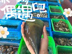 -七鲜渔港美食餐厅(巽寮湾海景店)