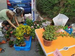 -亭亭鲜花店(中山北路店)