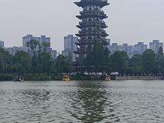 -洋湖国家湿地公园