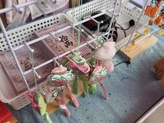 -南湖梦幻岛