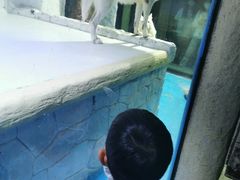 -大连圣亚海洋世界