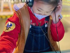 -中国宋庆龄青少年科技文化交流中心