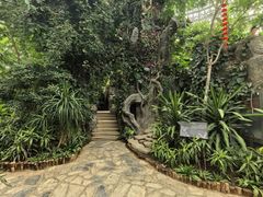 -郑州植物园