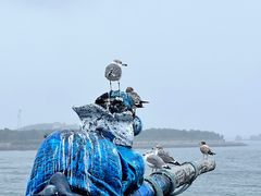 -大连老虎滩海洋公园