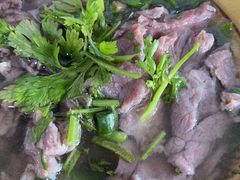 -小杨翘脚牛肉