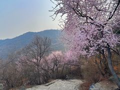 -香山公园