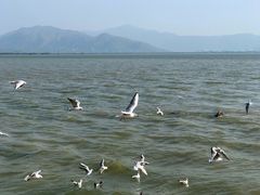 -深圳湾公园(南山区)