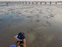 -南汇新城海滩