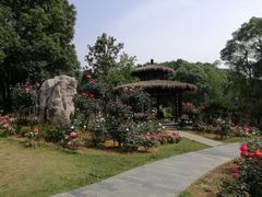-东湖落雁景区