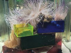 -太平洋海底世界