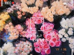 -循礼门鲜花花市(武汉循礼门店)