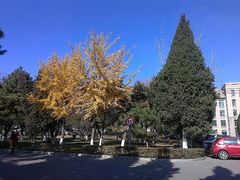 android_upload_pic-辽宁大学(崇山校区)