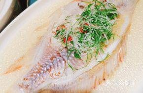 Salt and Oil Steamed Red Snapper