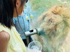 -西霞口神雕山野生动物世界