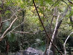 -北极阁公园