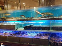 -喜庭海鲜自助(来福士店)