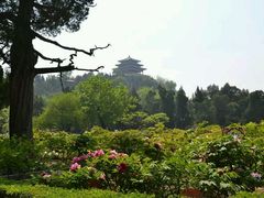 -景山公园