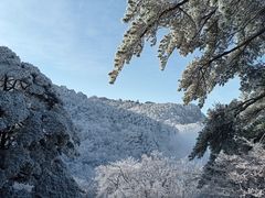 -黄山风景区