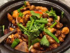 -朱记乳鸽王·非遗石岐乳鸽·全鸽宴(大兴旗舰店)