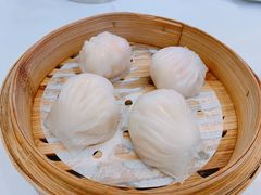 -圣丰盛宴酒家(东城店)