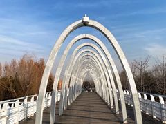 -大兴滨河森林公园