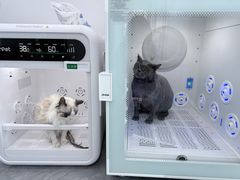 -爱洗澡的猫(望京店)
