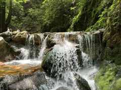 -牛背梁国家森林公园