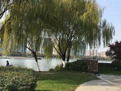 -尚贤河湿地