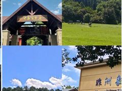 -阿露佳·舌尖上的安吉菜