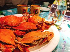 -寂寞的豆芽(龙泽路店)