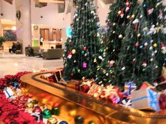 -成都世纪城假日酒店-西楼