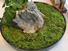 -松鹤楼·非遗·苏帮菜(融科店)