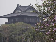 -海珠湖公园