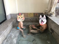 -颐和澜悦欢乐水世界(原颐和温泉城)