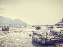 -北岐滩涂